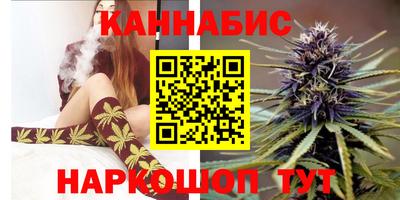 мдпв Татарск