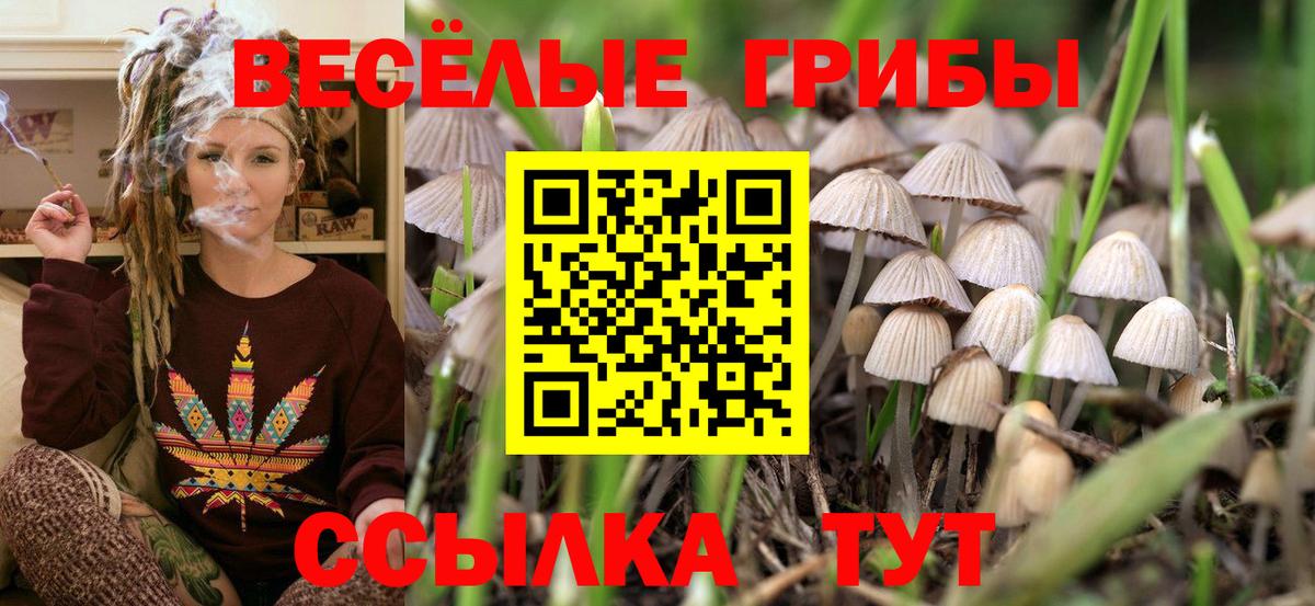 A-PVP Новоалтайск
