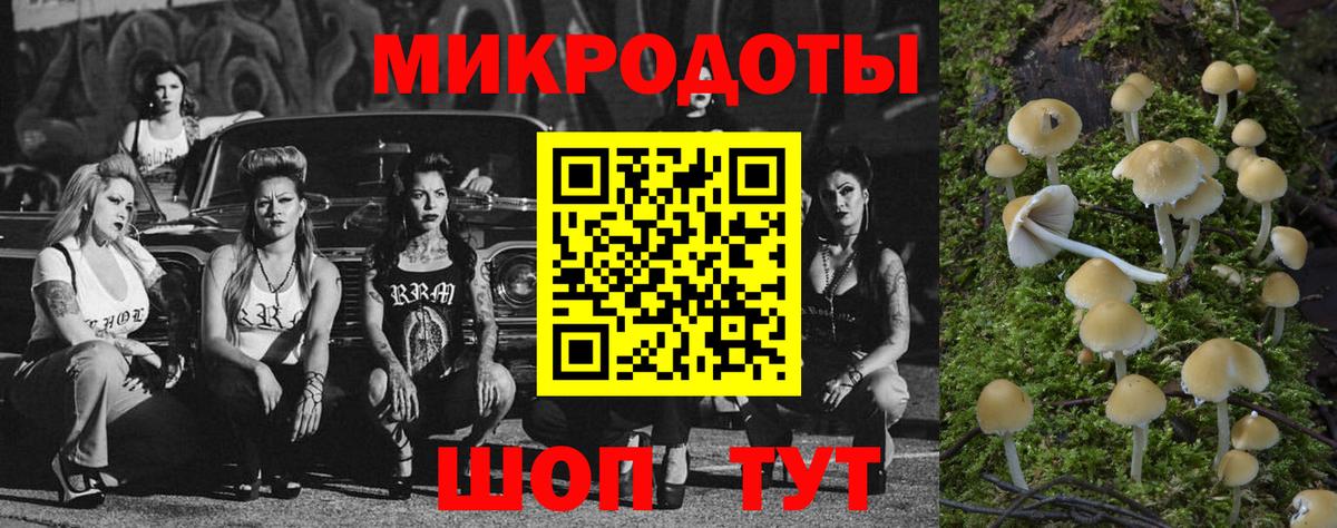 Псилоцибиновые грибы Psilocybine cubensis  Вход с VPN  Псилоцибиновые грибы GOLDEN TEACHER  Новоалтайск 